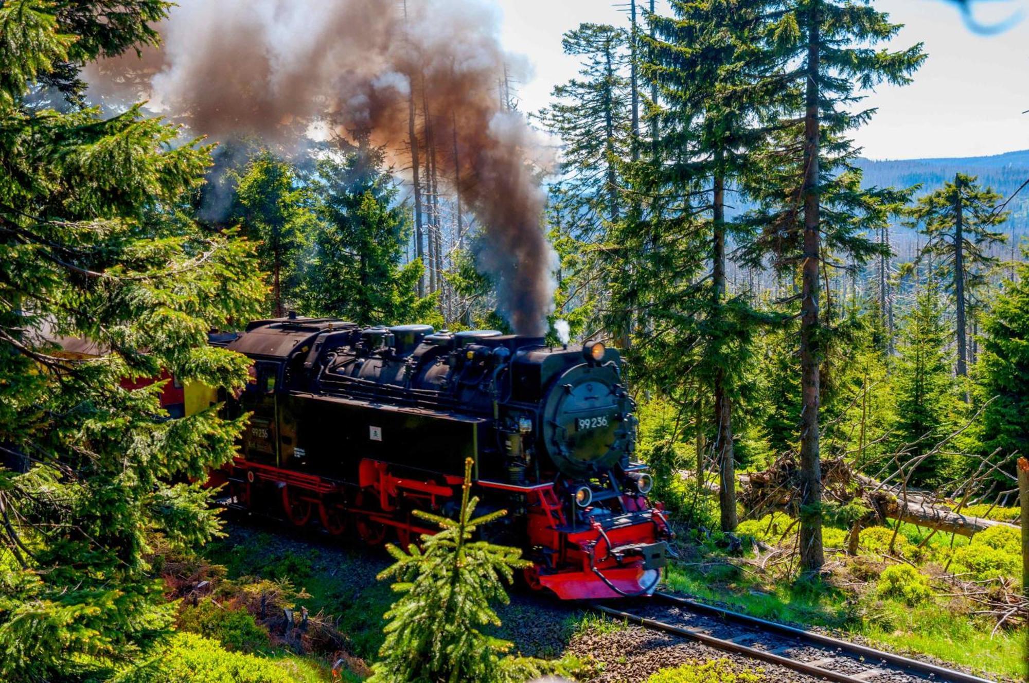 Regiohotel Am Brocken Schierke Exteriör bild
